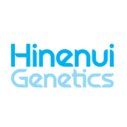 Hinenui 01 v2